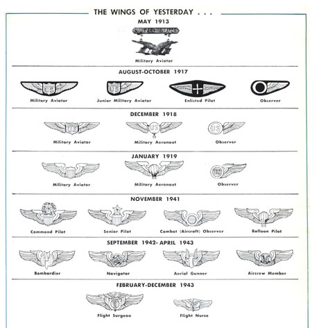 Air force wings 2025